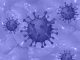 COVID 19 Coronavirus